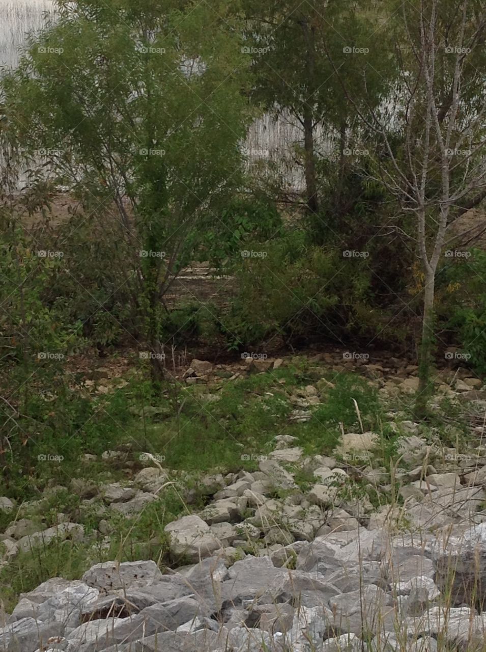 Rocky Scenery at Lake