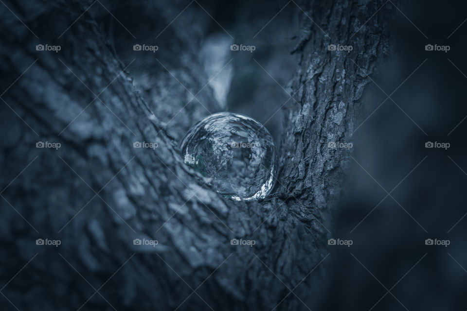 Crystal sphere, ball-shaped lens between branches of a tree
