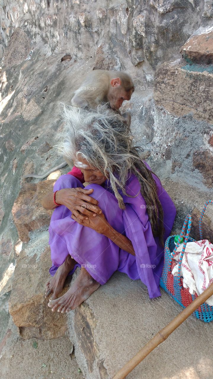 High angle view of monkey sitting on woman's head