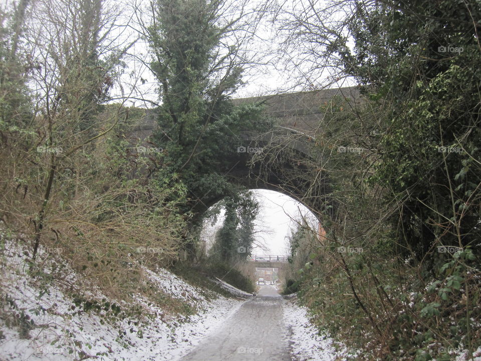 A Bridge In Winter