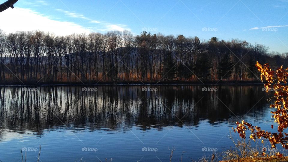 Winter Reflection