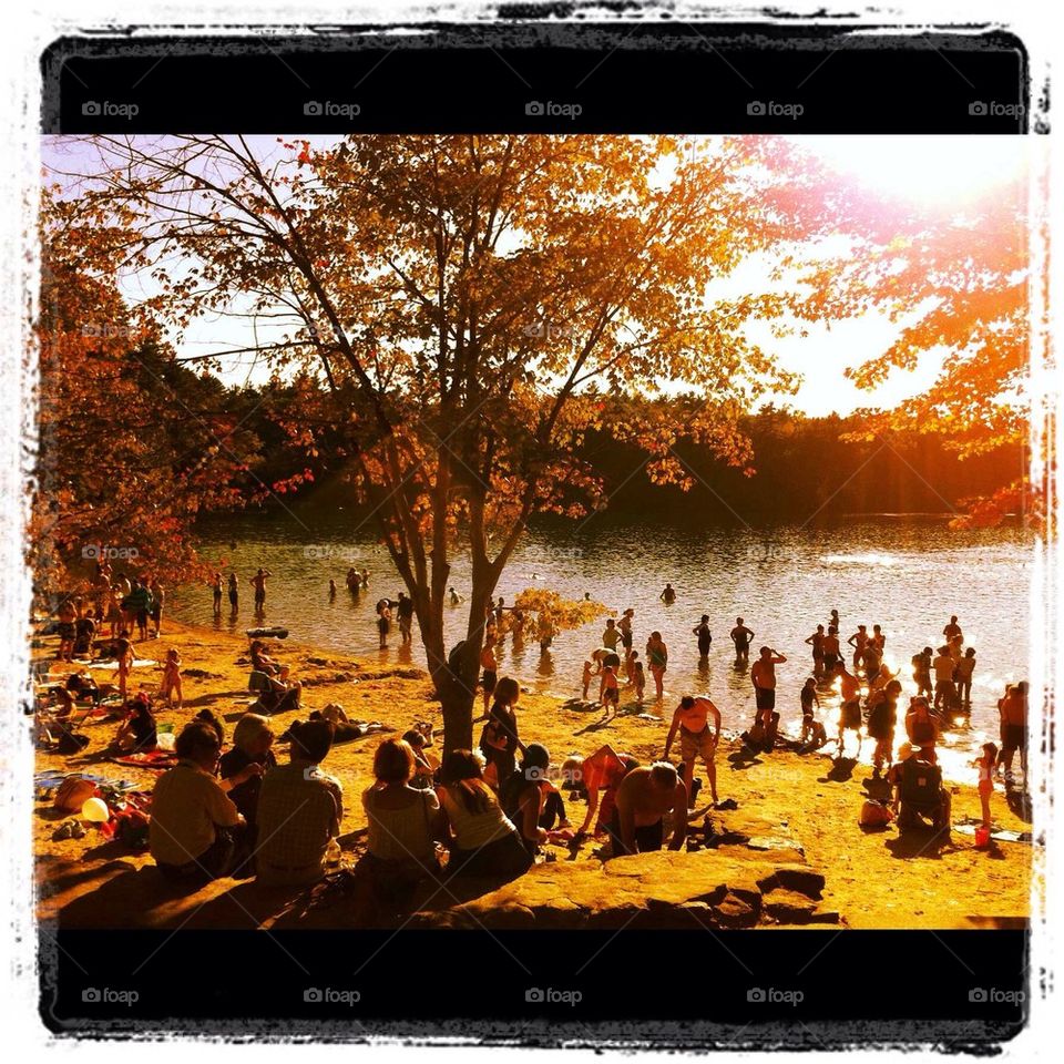 Walden pond