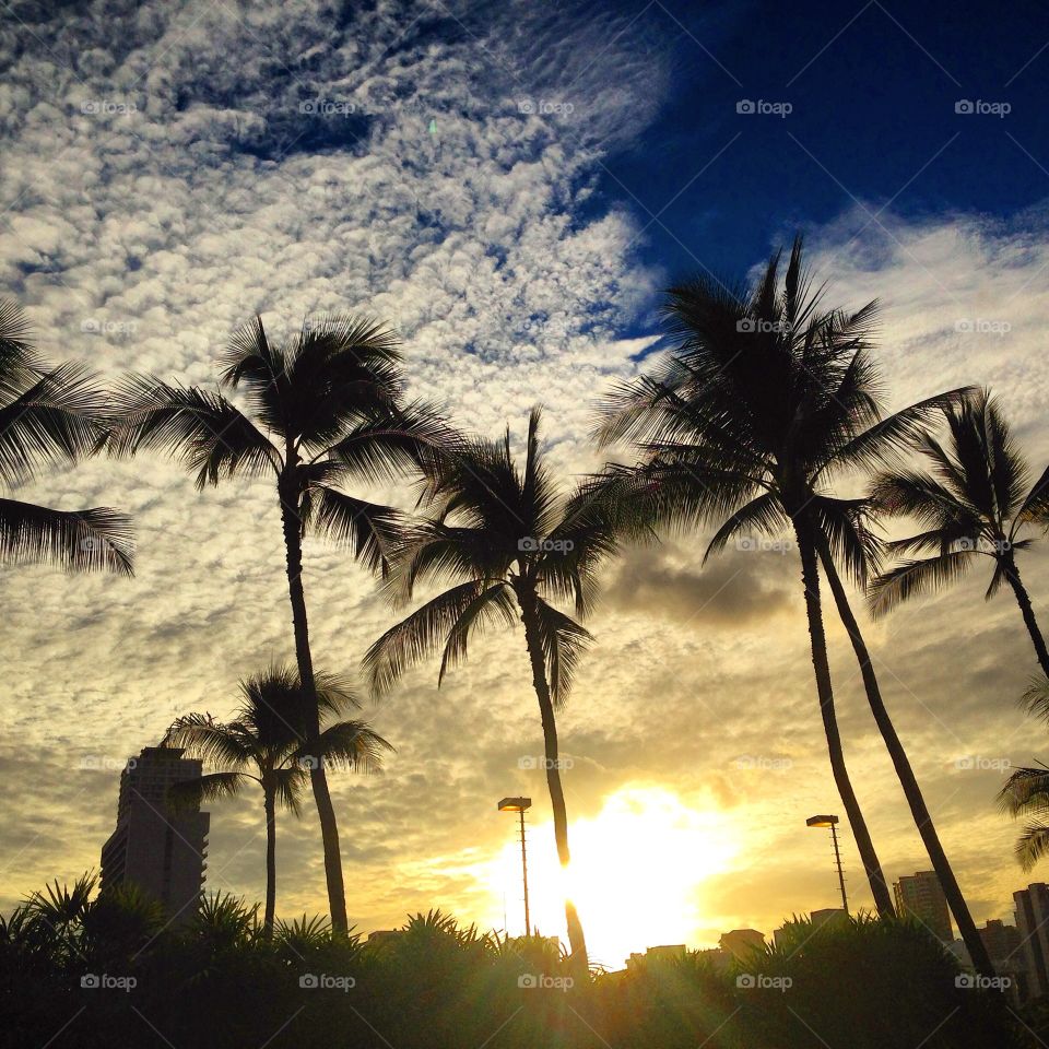 Beautiful Sky. Looking up the beautiful sky from the swimming pool side just before sunset