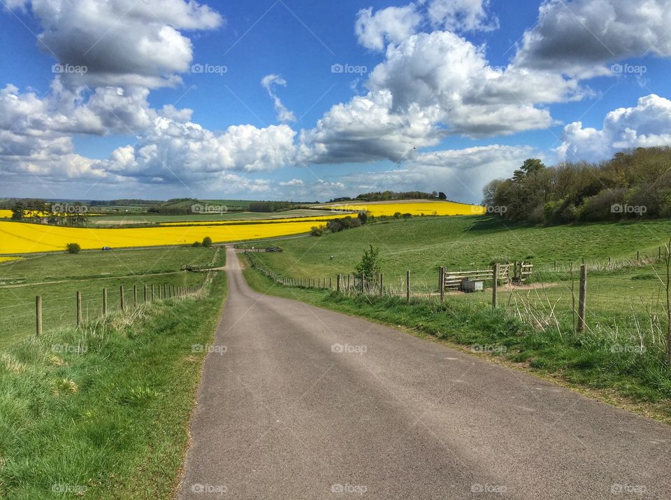 Rapeseed field & country road