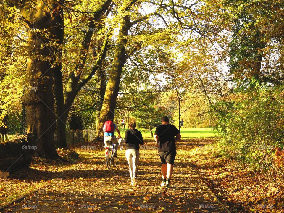 jogging in autumn