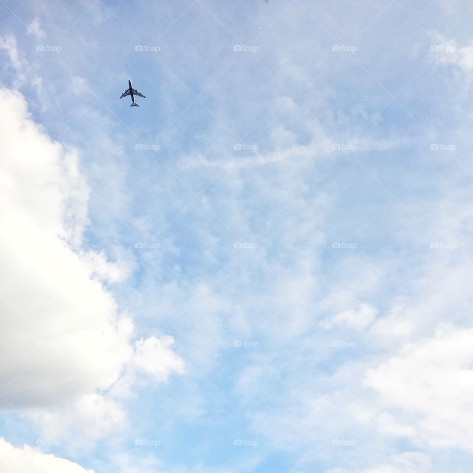 The plane. I spotted this plane on my way to the airport