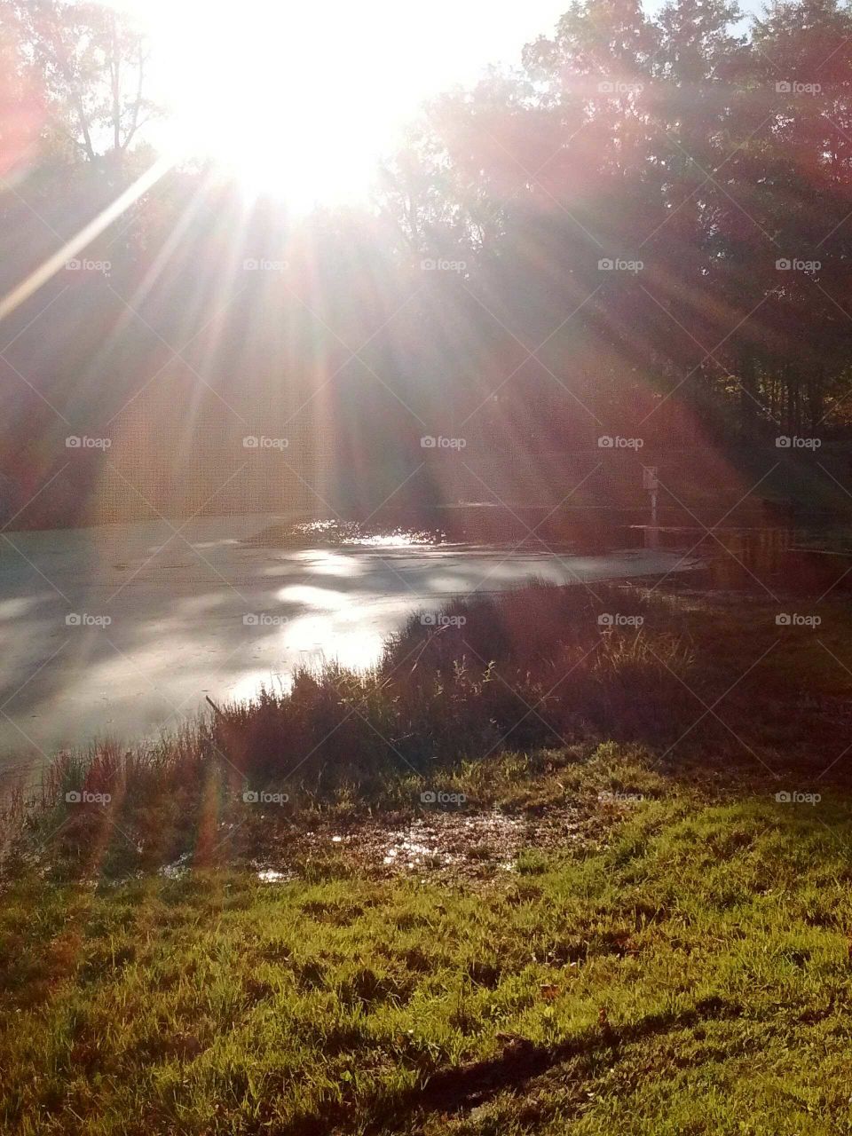 sunset over the pond