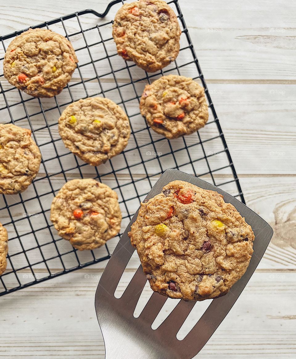 Round cookies being placed on a cooling rack, making cookies at home, cookies on a cooling rack, circular cookies on a rack, homemade cookies, delicious cookies, cookie on a spatula being placed on a cooling rack