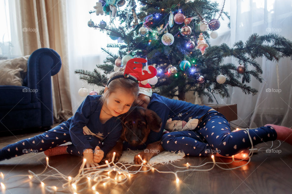 Little sisters with German shepherd puppy near Christmas tree 