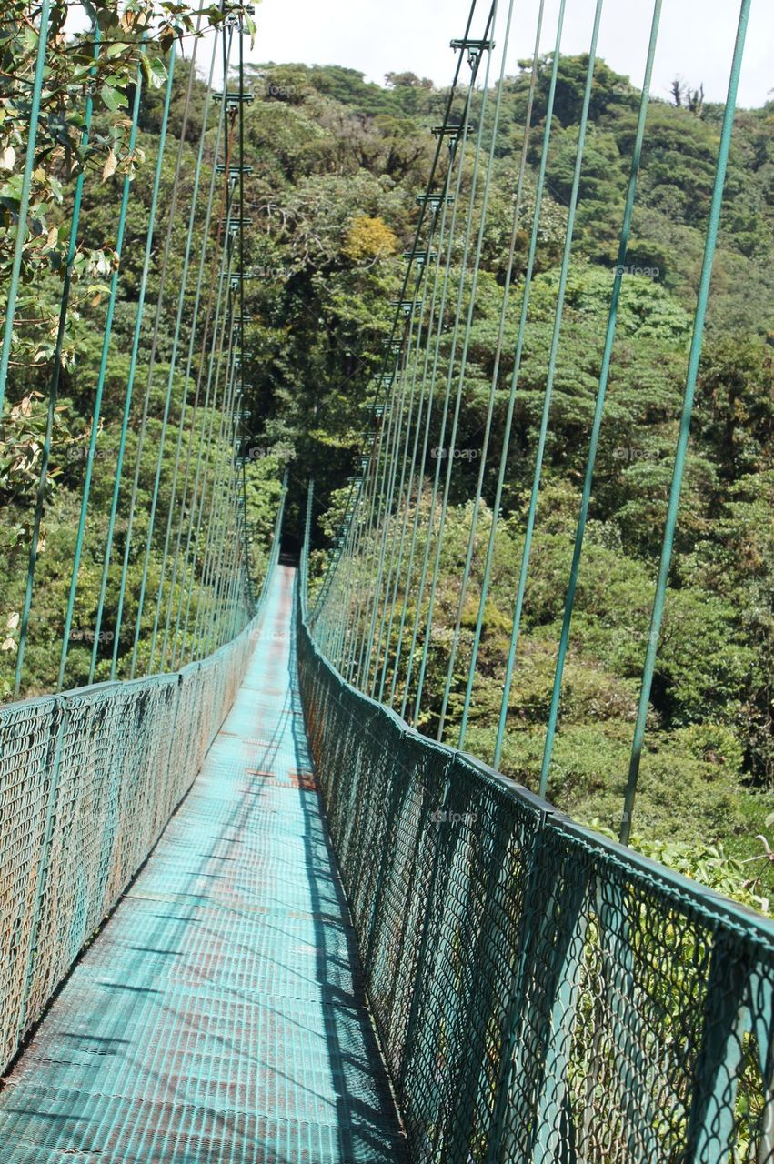 Hanging bridge