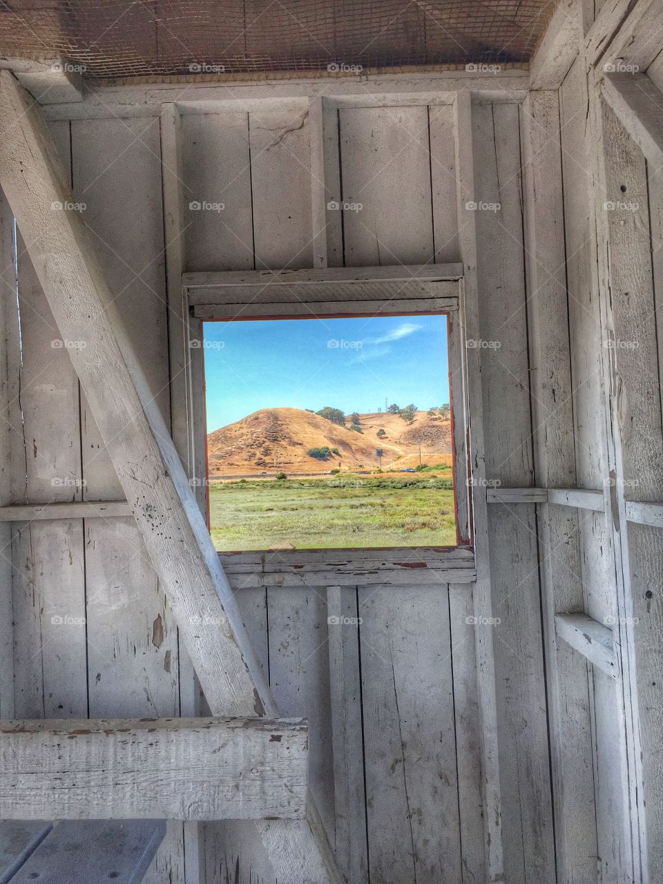 Natural framing. Natural framing of nature 
