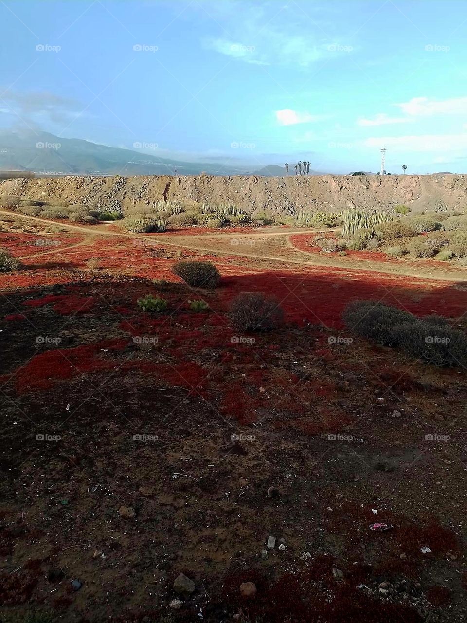somewhere on tenerife