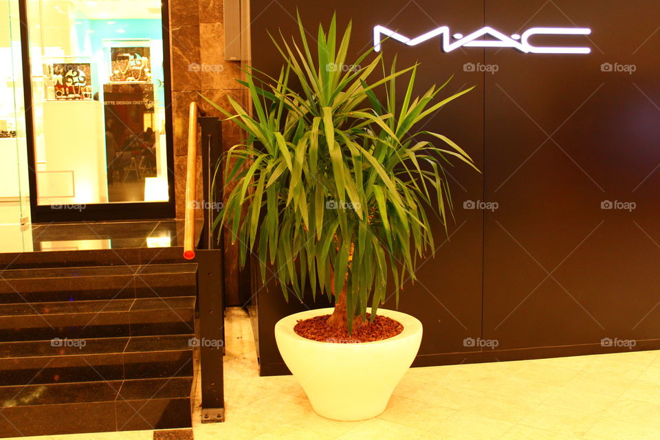 Mac store