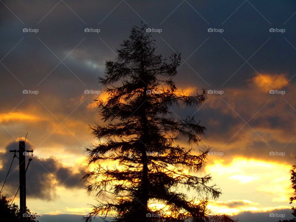 Abendstimmung im Spätsommer