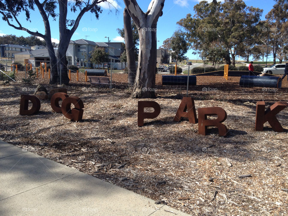 dog park act canberra by splicanka