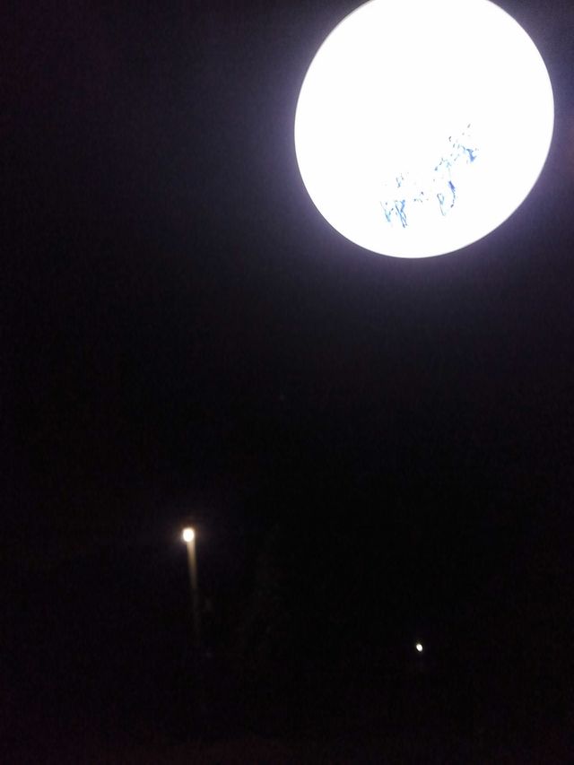 lindo
