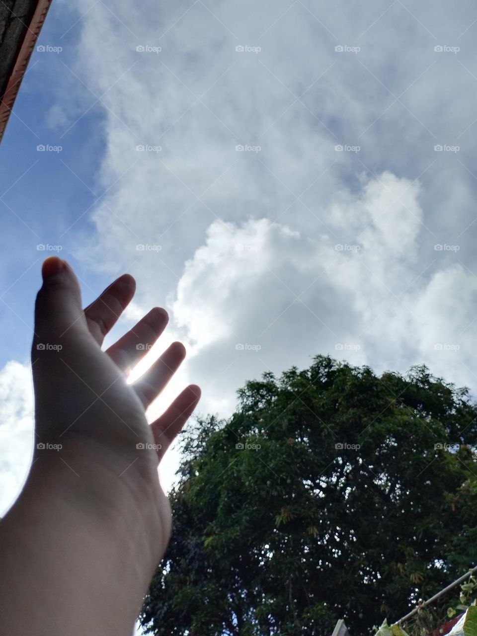 Hand lifting to the sky