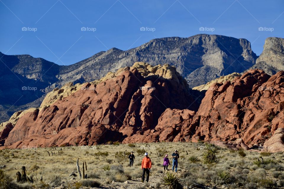 Red Rock Canyon 