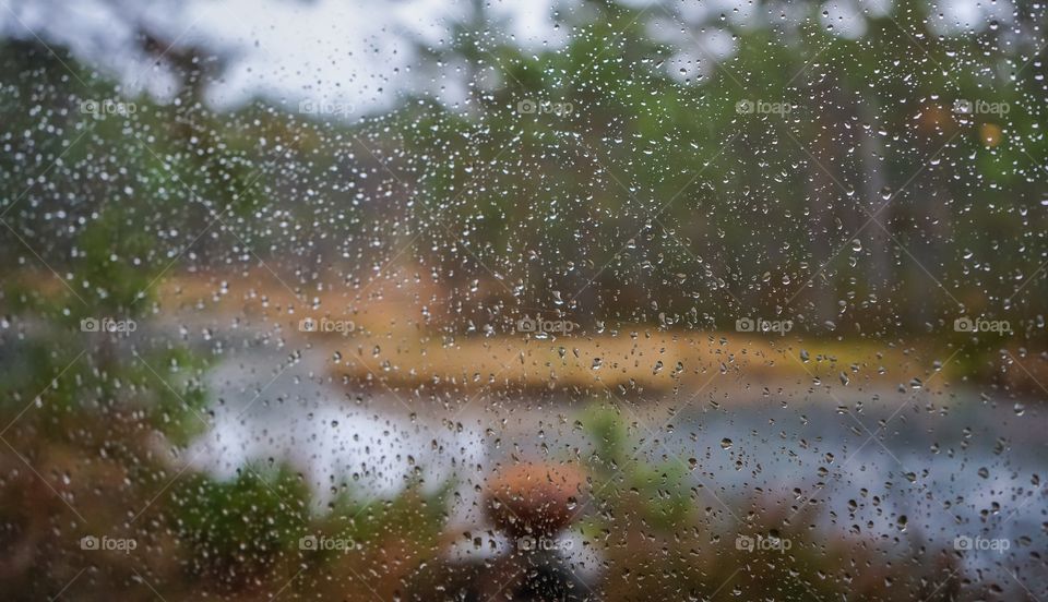 Raind and windows 