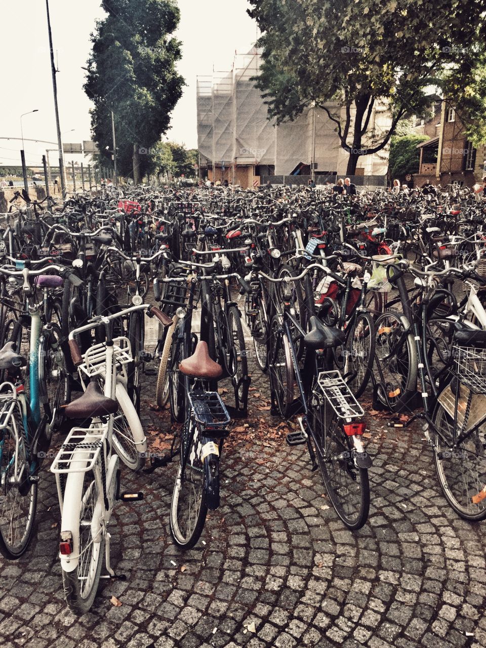 Bicycles in park