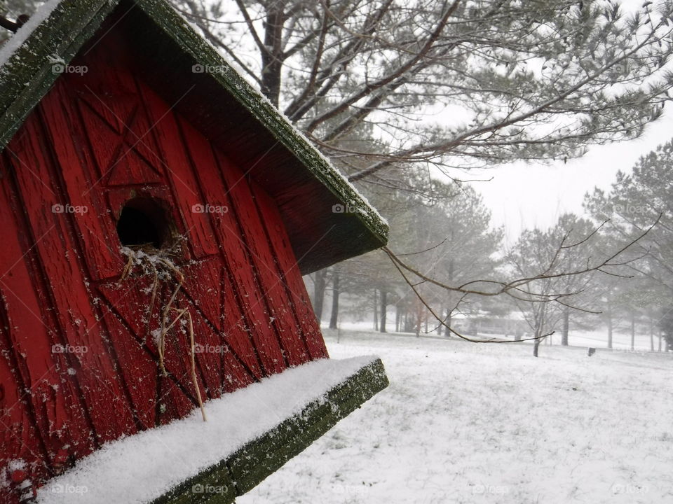 Birdhouse in the snow.