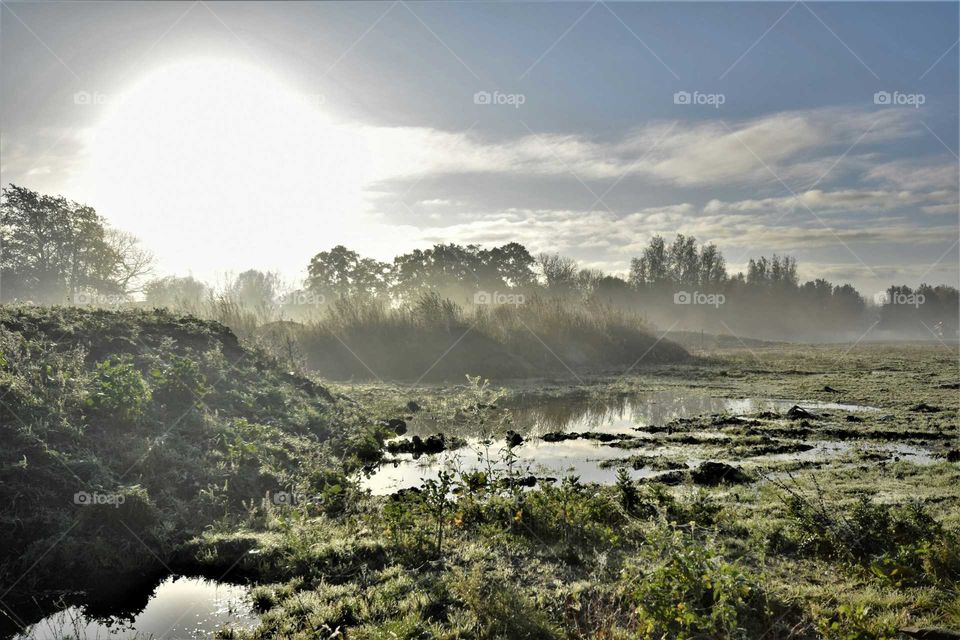 Early autumn morning with fog over the fields and ponds soft pastel colors landscape