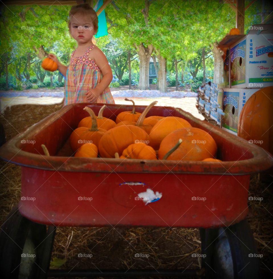 Adorable girl holding pumpkin at farm