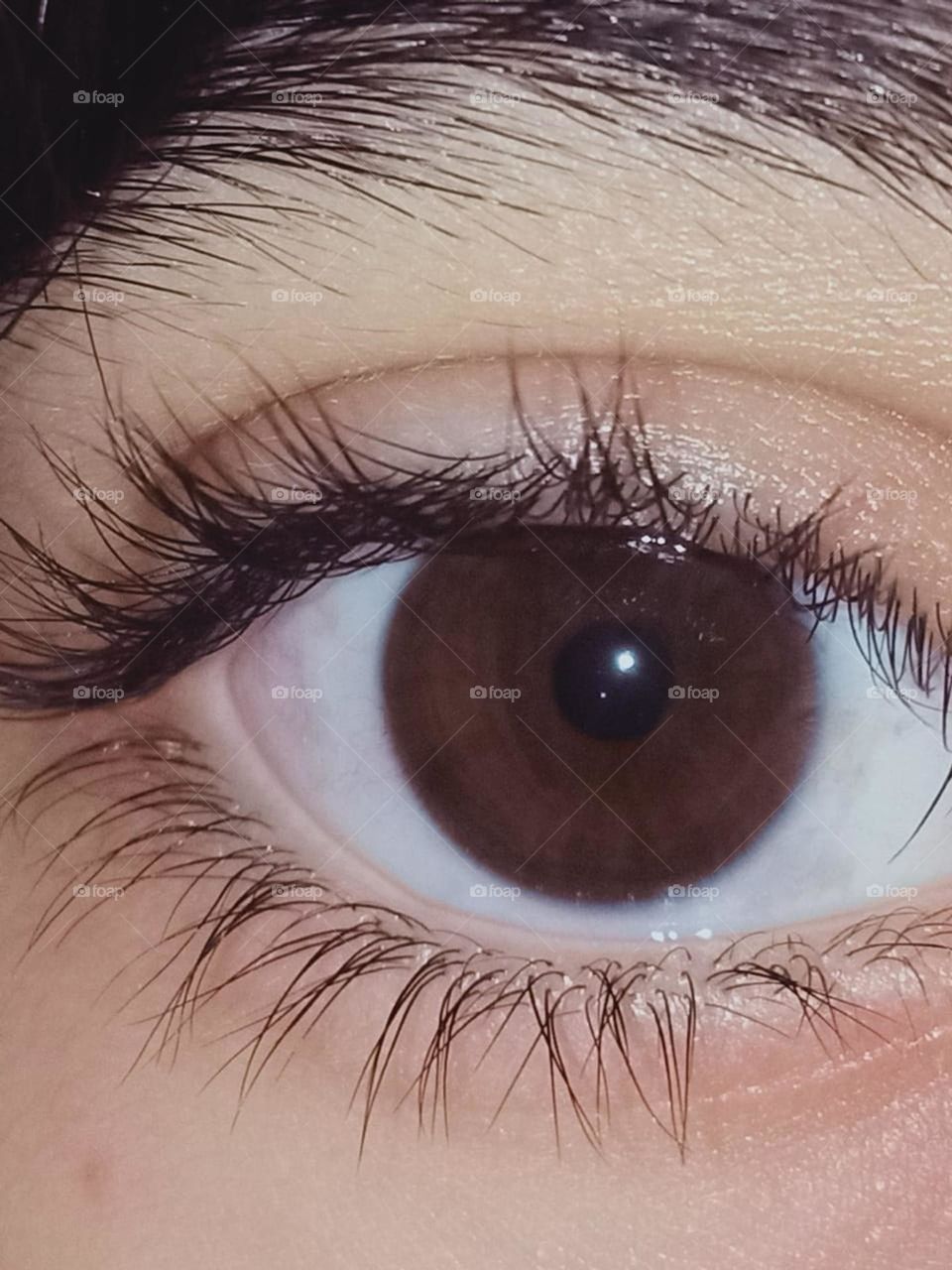 human macro brown eye.