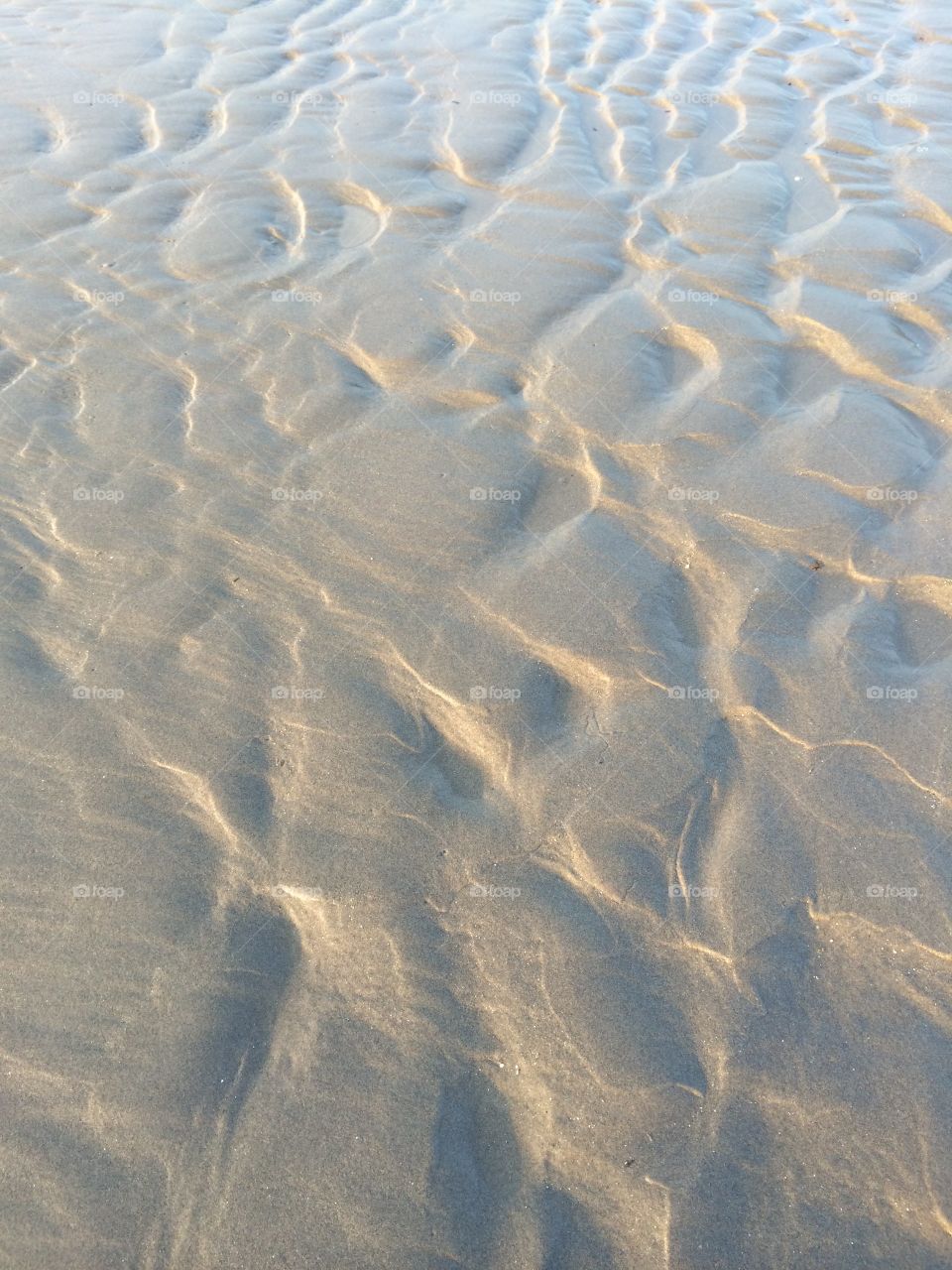 Ridge surface of the seabed at low tide.