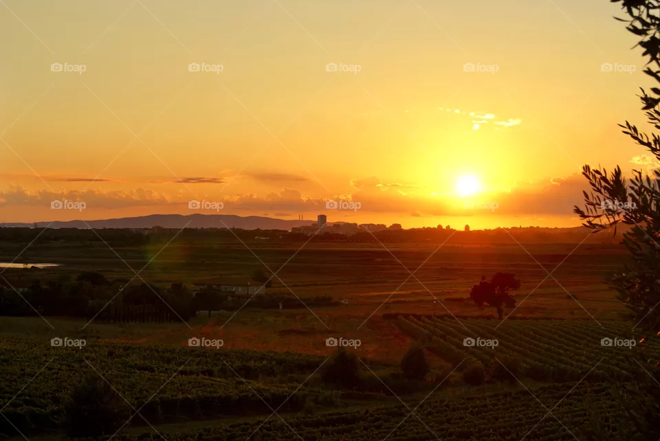 Sunset