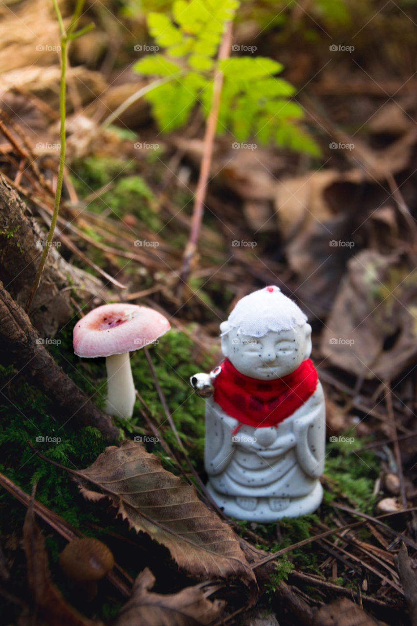 mushroom and Buddha statue