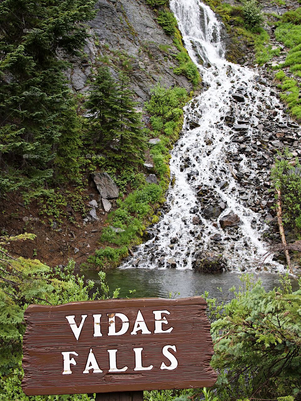 Vidae Falls cascading down a rocky steep slope covered in lush greenery marked by a rustic brown sign in Crater Lake National Park in Southern Oregon on a beautiful summer morning. 