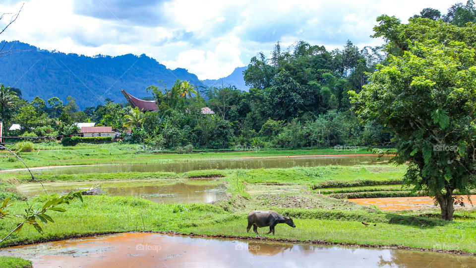 village in a mountain