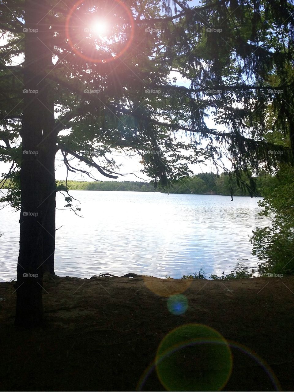 Sunbeam Lake