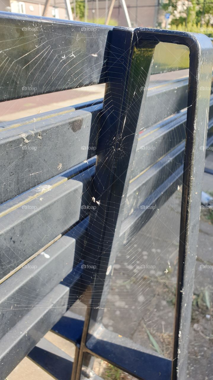 spiderweb behind the couch