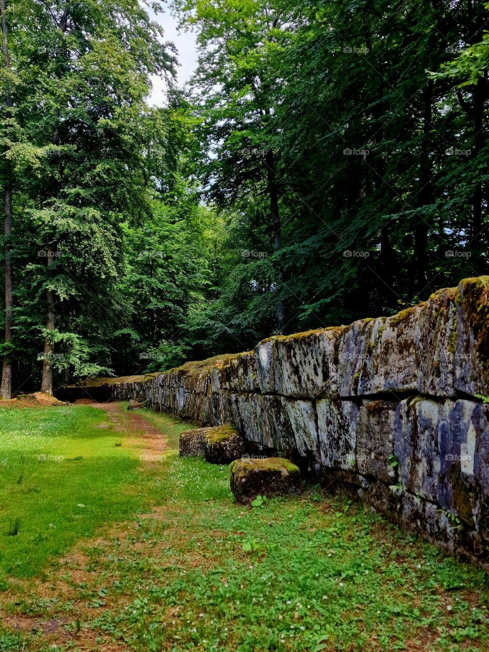 the old wall of the Dacian fortress of Sarmisegetusa Ulpia