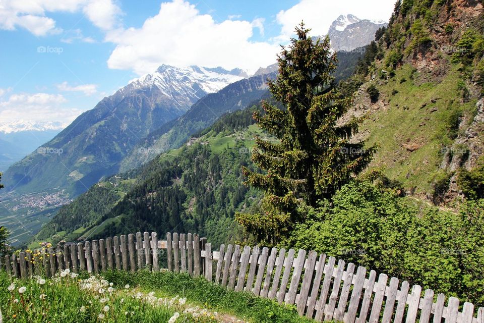 Wooden fence in alto adige