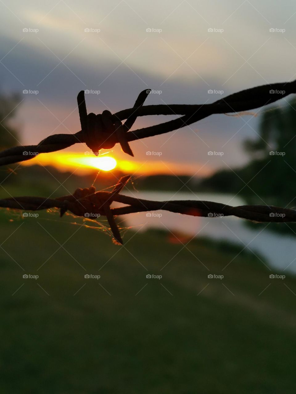 Sunset and barbed wire.