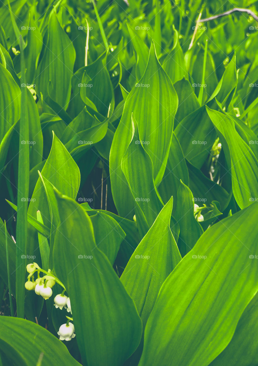 Color in a world where color isn’t always there. 