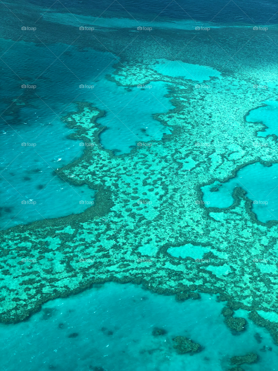 The Great Barrier Reef 