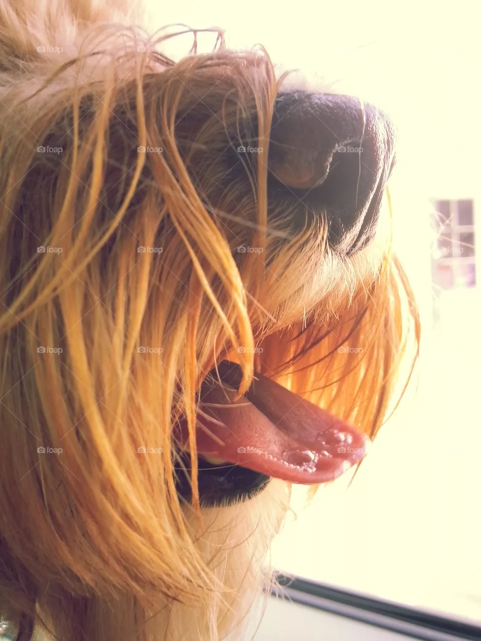 mouth