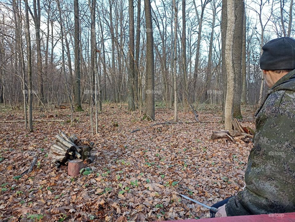 In a forest clearing