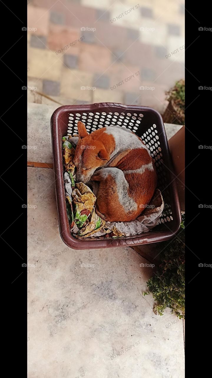 opportunities are like sunshine. if you wait too long you will miss all.