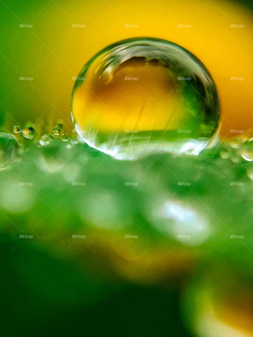 abstract no person background