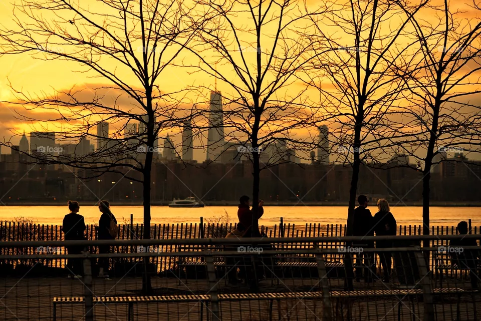 Sunsets 