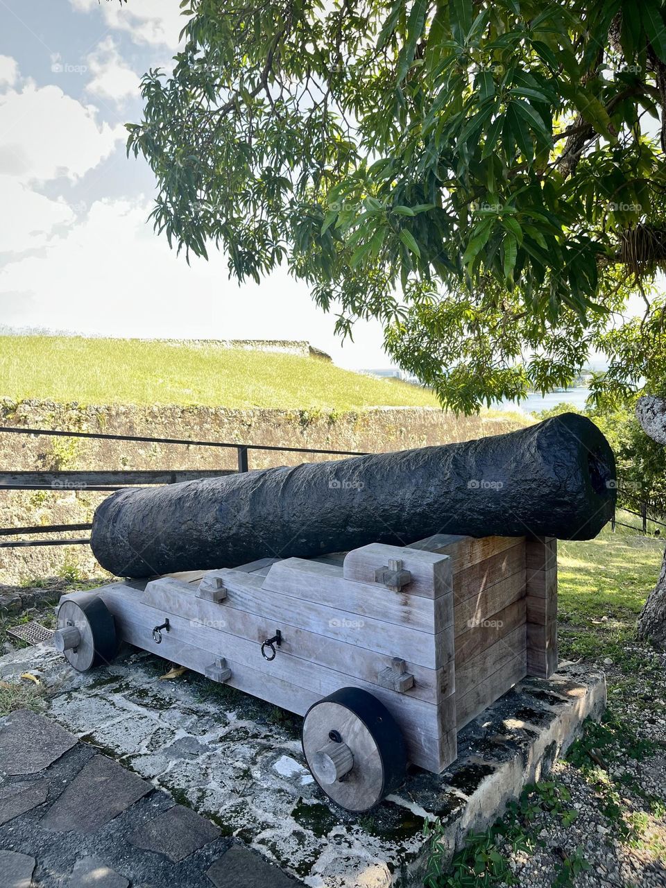Cannon in the fortress 