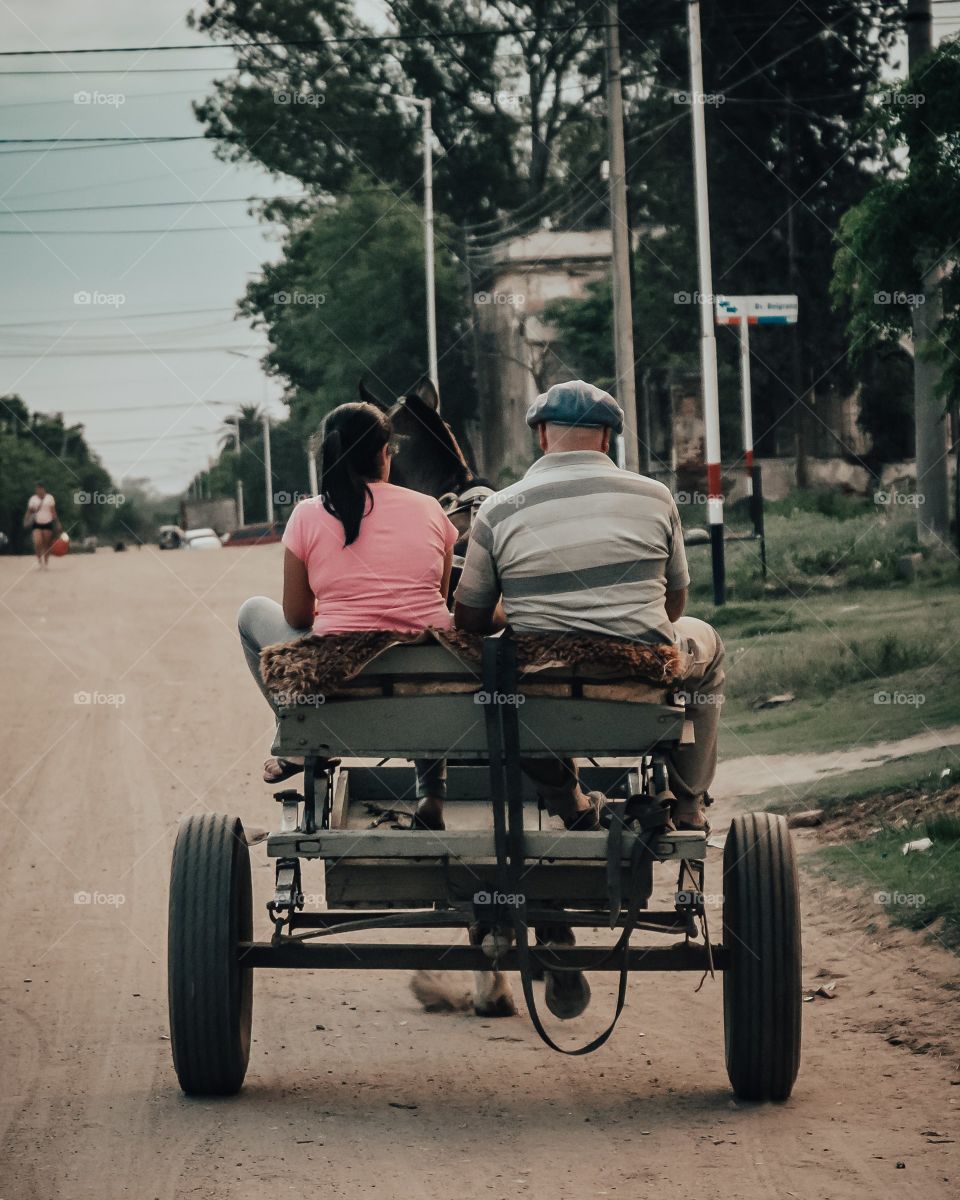 Couple in cart. love 🐴👫