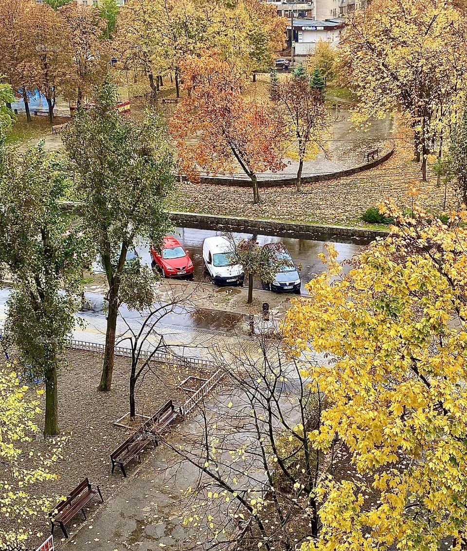 #rainy #autumn
# cloudy # trees
# puddles #