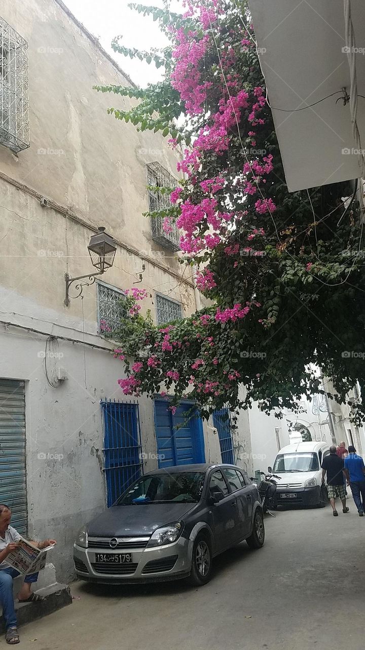 this was beautiful 🇹🇳 tunisia