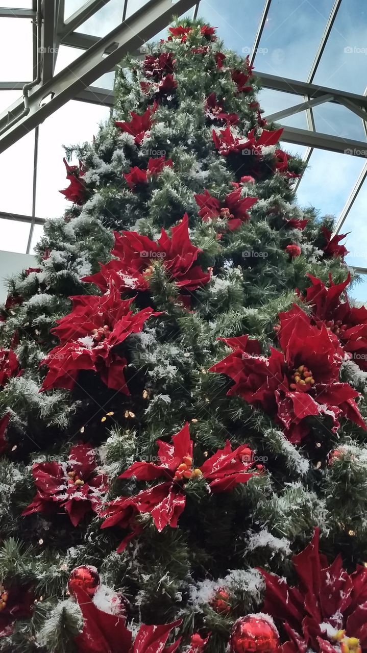 Christmas at the mall